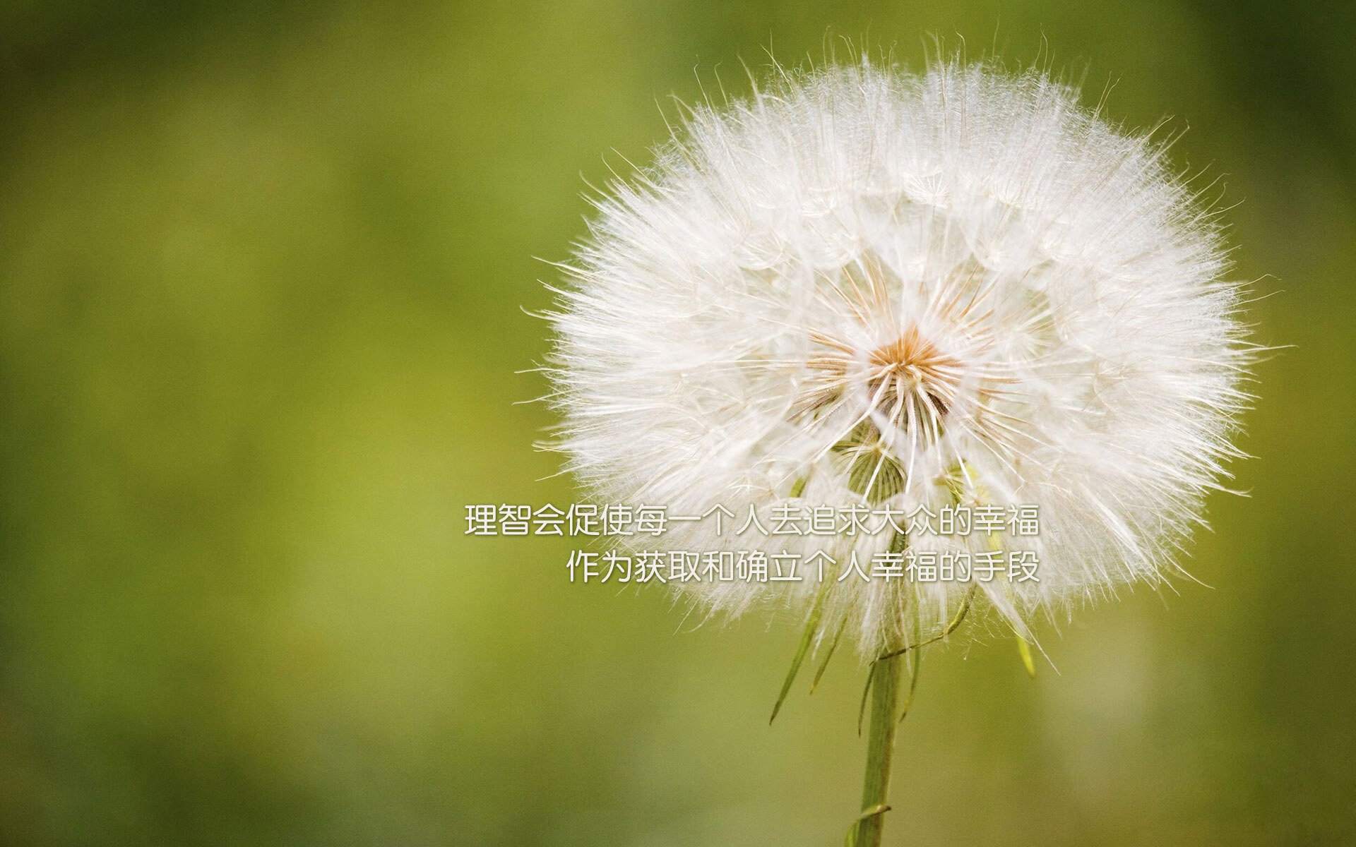 “中超豪门争冠局势逐渐明朗”，中超豪门哪家强