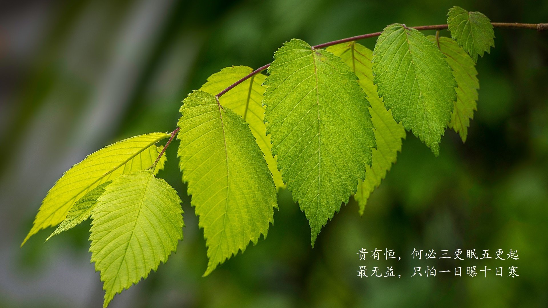 离别与新起点：球员转会背后的故事，球员转会新闻
