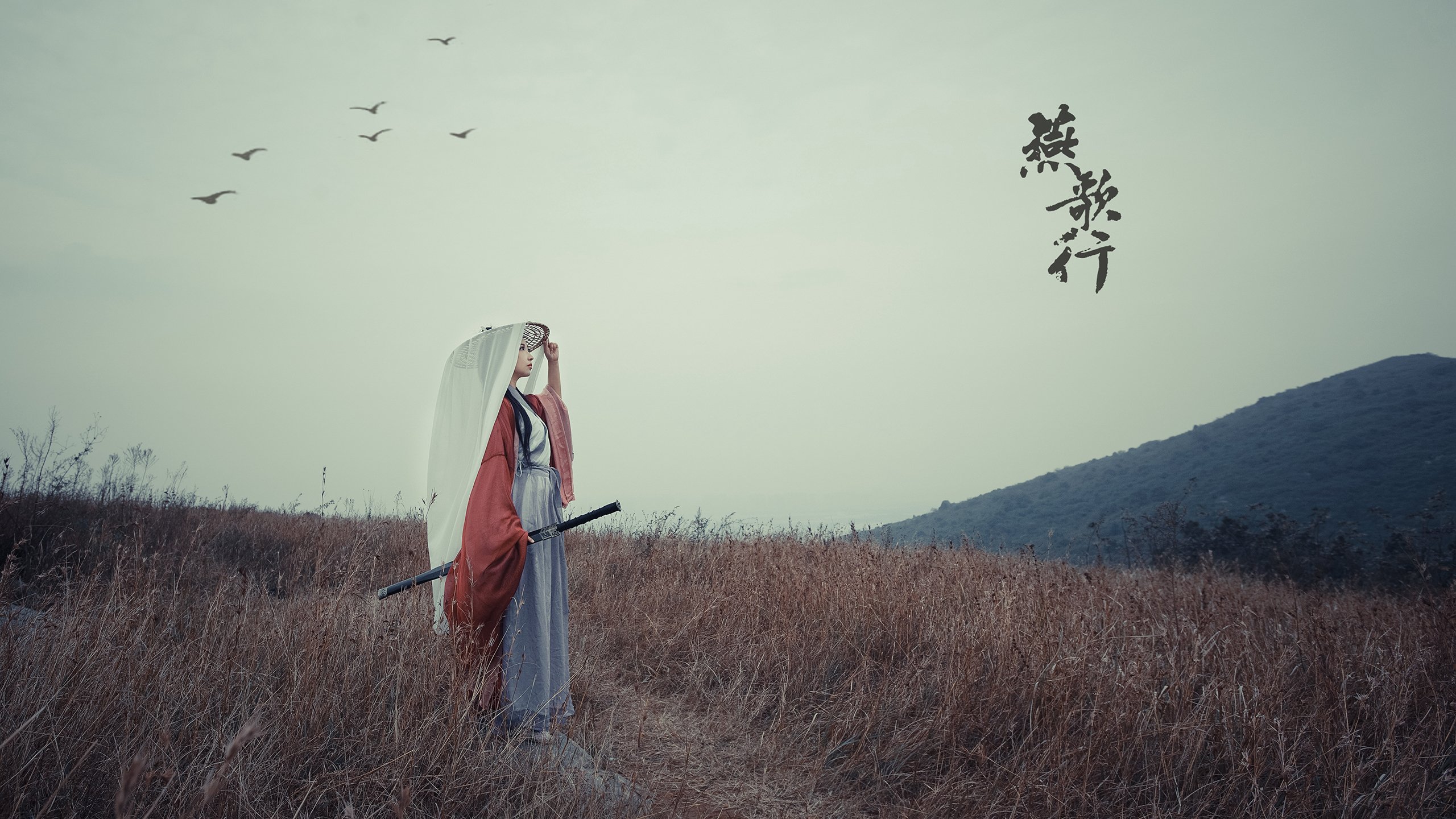 车队合作细节：幕后团队默契的力量，车队合作协议