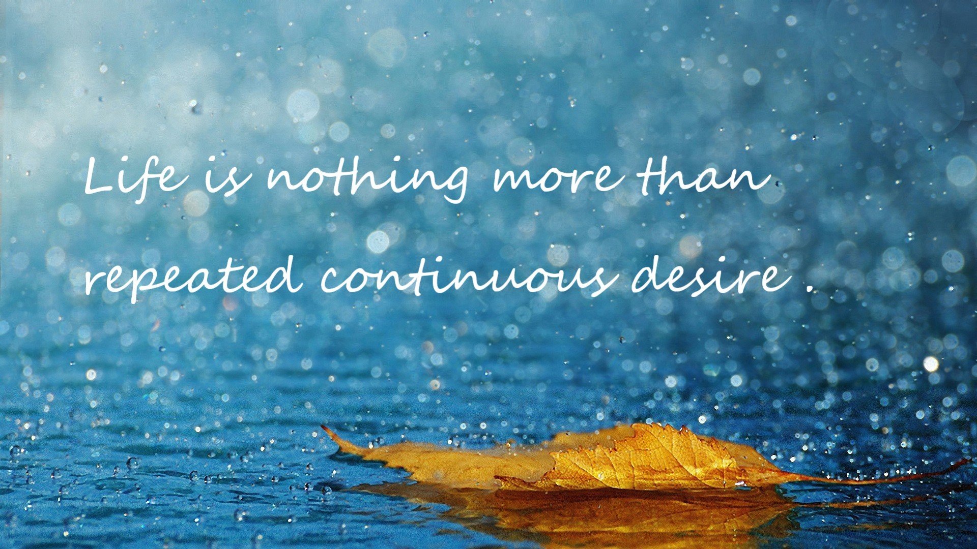 利物浦在2024年英超联赛中获得亚军，利物浦英超2021