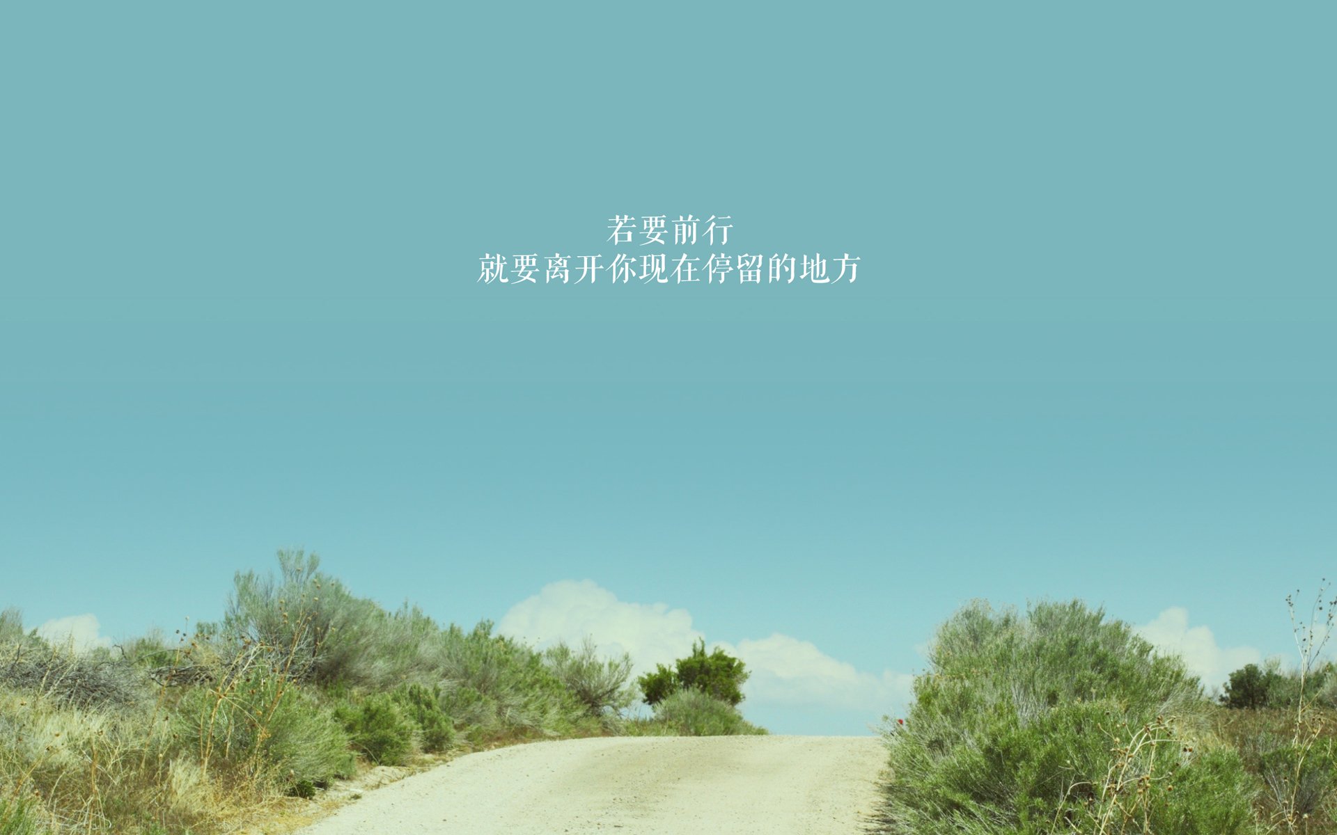 开云体育平台-塔特的球场指挥官作用，令袋鼠队攻守如行云流水