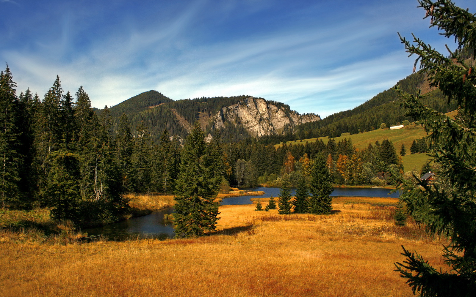 德甲强强对抗：力量与技巧的全面展现，德甲强度