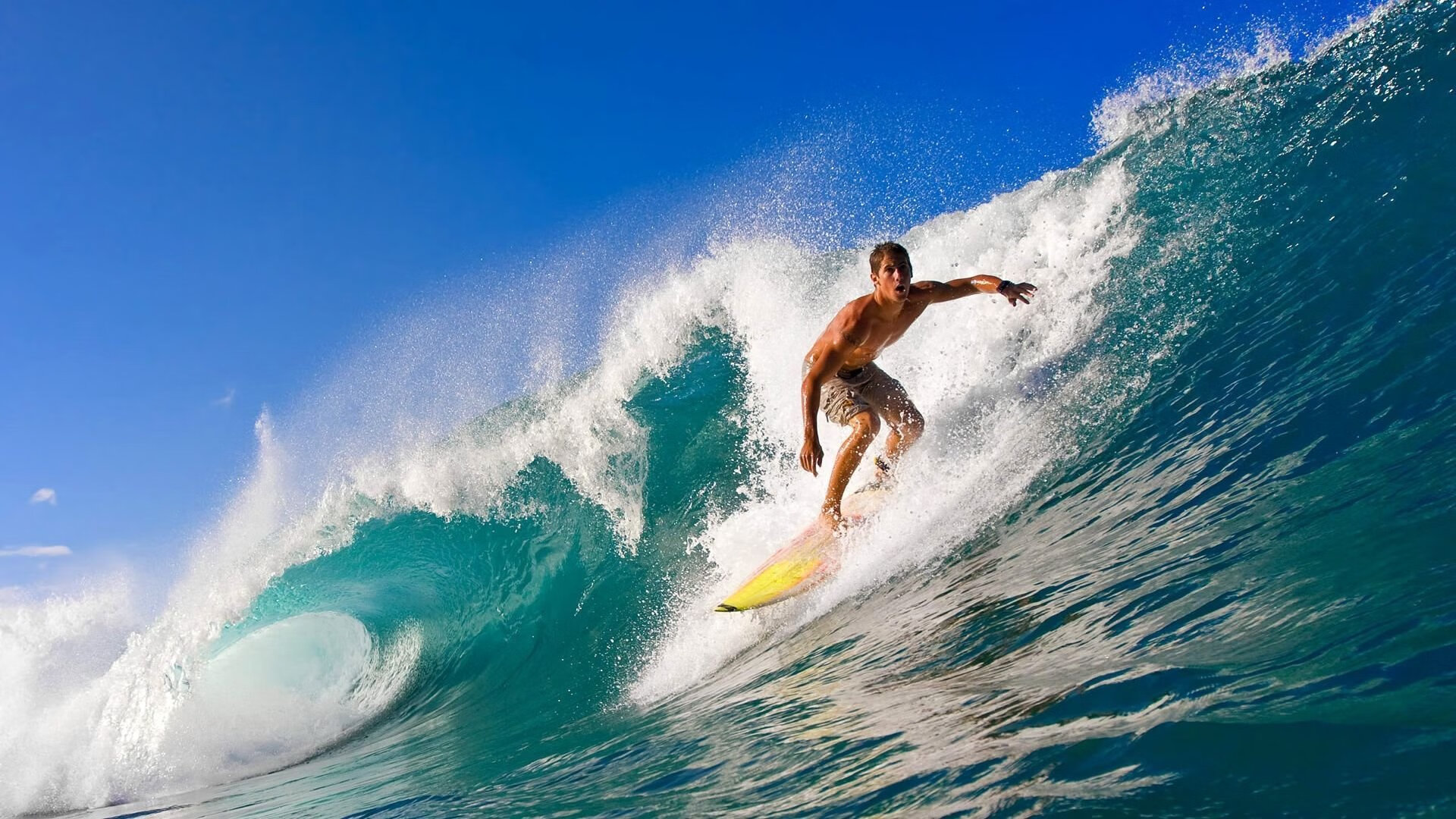 kaiyun体育app-未来人口：多元化、多文化背景的联盟新模样，未来人口的发展趋势图