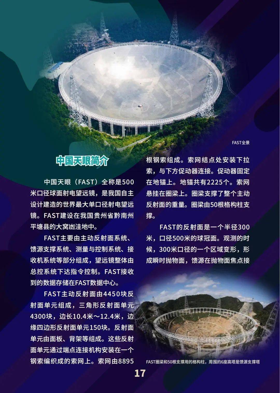 各国对青少年参赛的政策支持与影响